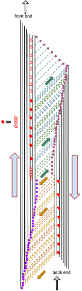 文件:caterloopillar.png